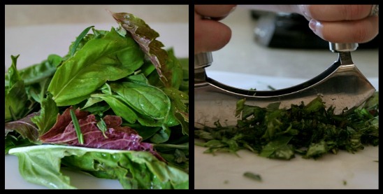 ChickandBee-MakePesto1 ChickandBee-MakePesto1